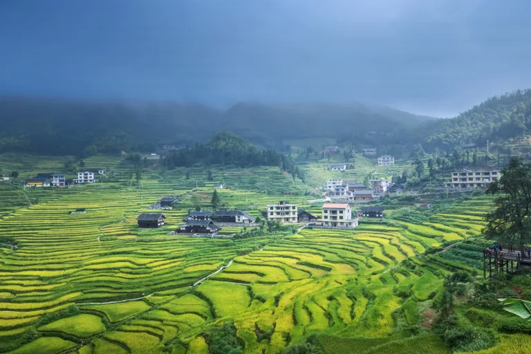 Duan Fangming - 绕梯田Foggy terraces