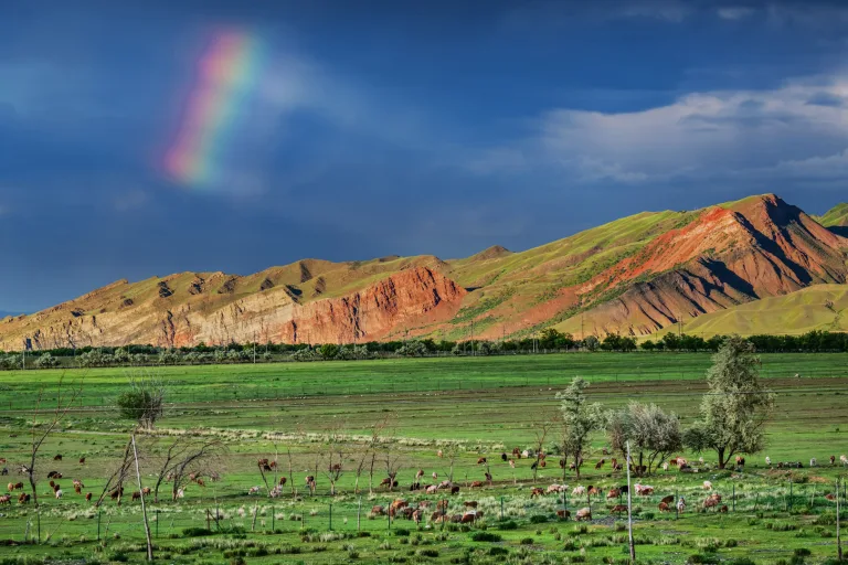 Gu Ying - 2.遇见彩虹 Meet the rainbow