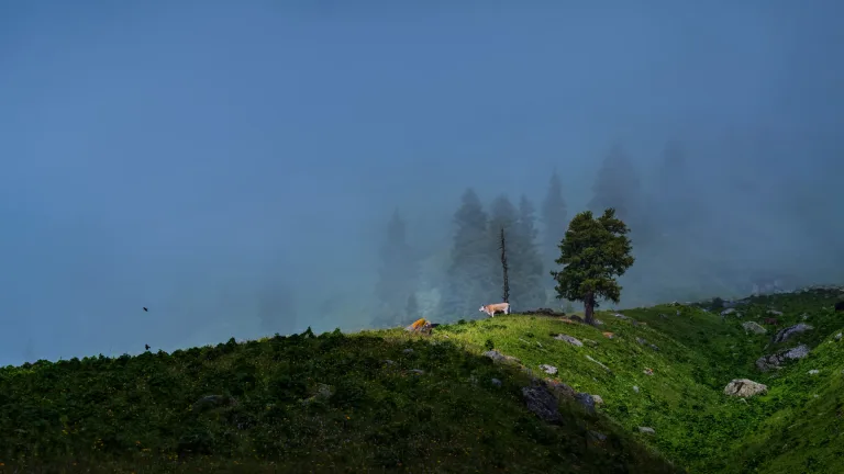 Gu Ying - 5.山地仙境 Heavenly Land