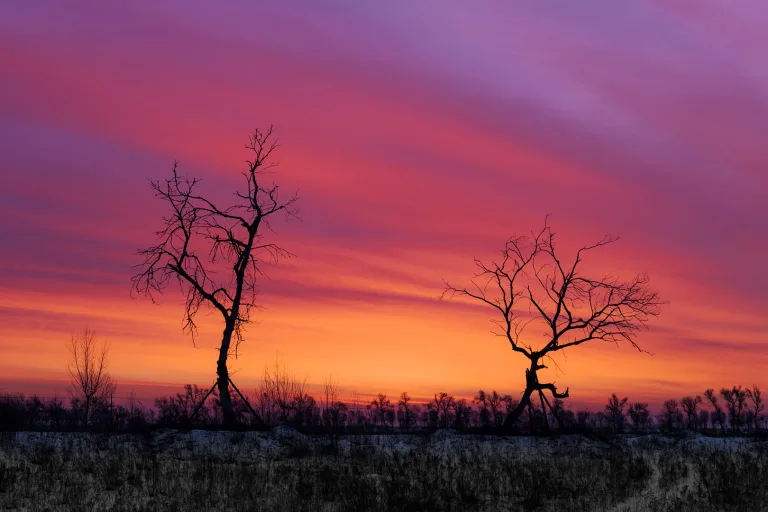 He Jianfeng - 破晓Dawn Break