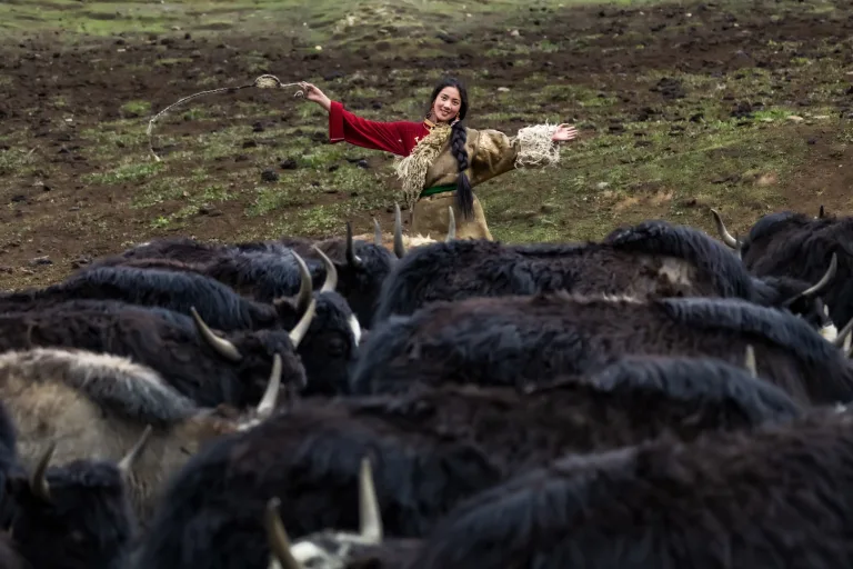 Hu Dongfeng - 2P5A1531