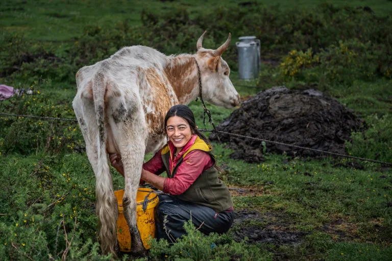 Hu Dongfeng - 忙碌着的藏族女人 Busy Tibetan woman