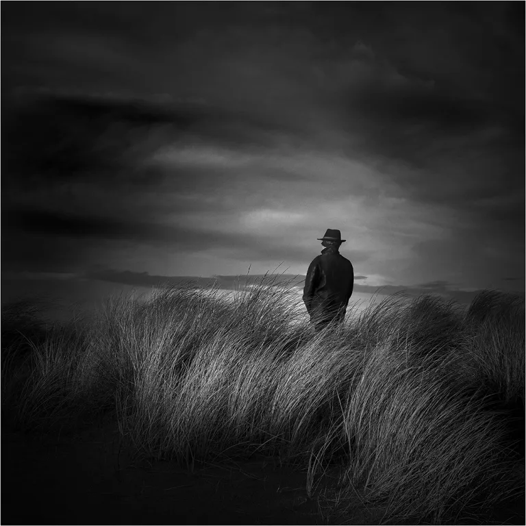 Jose Manuel Pires dias - NB Jose Manuel Pires Dias A la maniere de