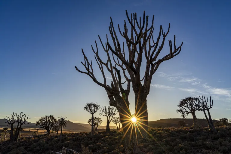 Kishore Seegobin - Sunrise