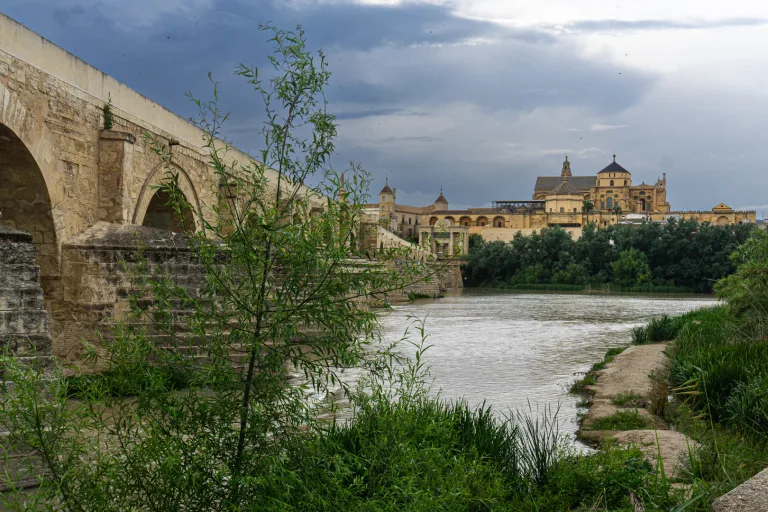 Kristien Lindebrings - Kristien Lindebrings 10