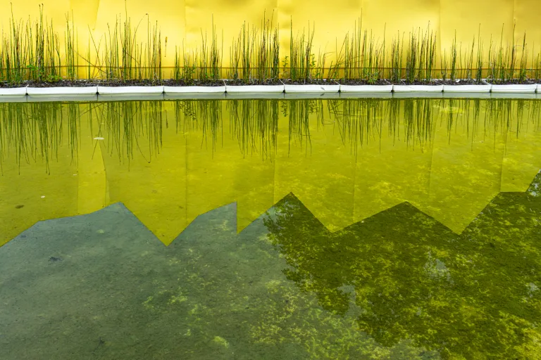 Kristien Lindebrings - Kristien Lindebrings 2