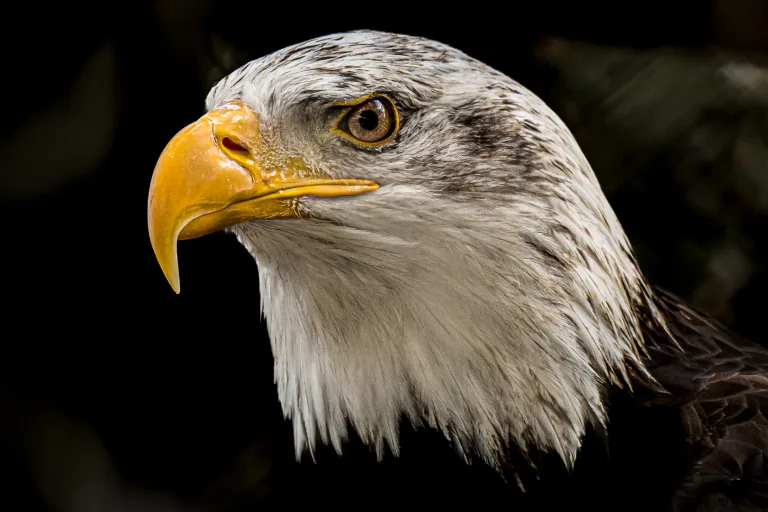 Maria Marangou - Maria Marangou 4