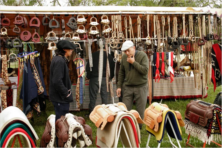 Maria Rosa DElia Demetilla - 08 Fiesta tradicion Maria Rosa DElia Demetilla