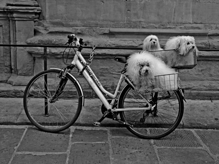 Michael Duke - Eyes Left