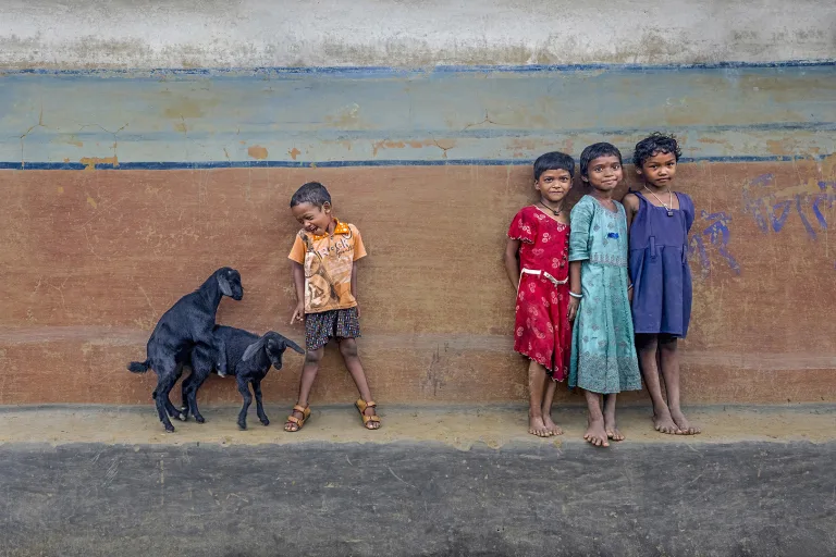 Mrinal Sen - Naughty Boy