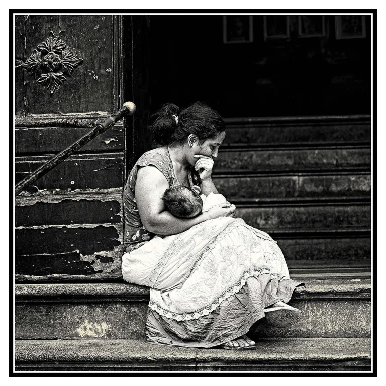 Nenad Nikolic - Maria