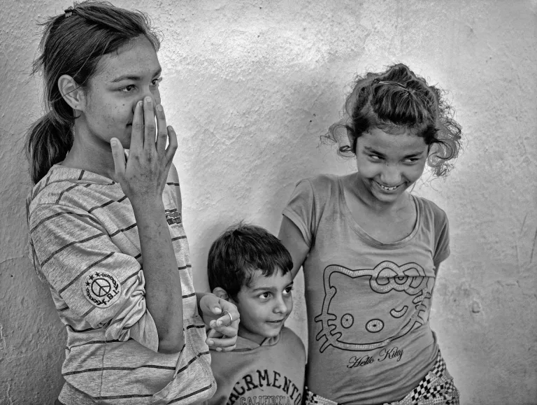 Nenad Nikolic - Shy
