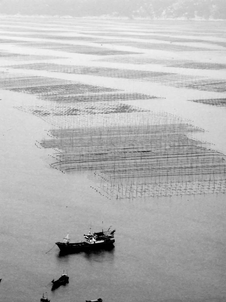 Nie Yongxing - 上农田2Ocean farm 2