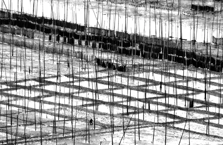 Nie Yongxing - 建设中 Under Construction