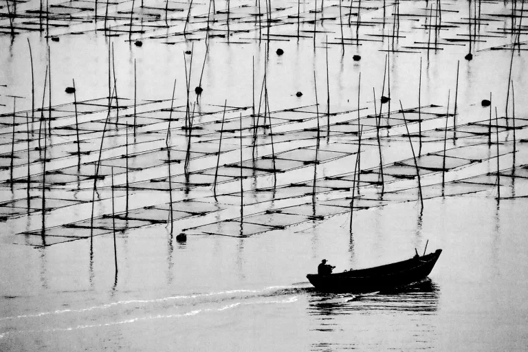 Nie Yongxing - 悠梦 Leisure