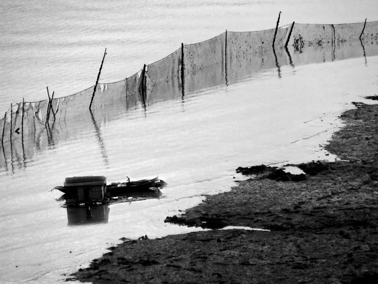 Nie Yongxing - 水上人家 People on water