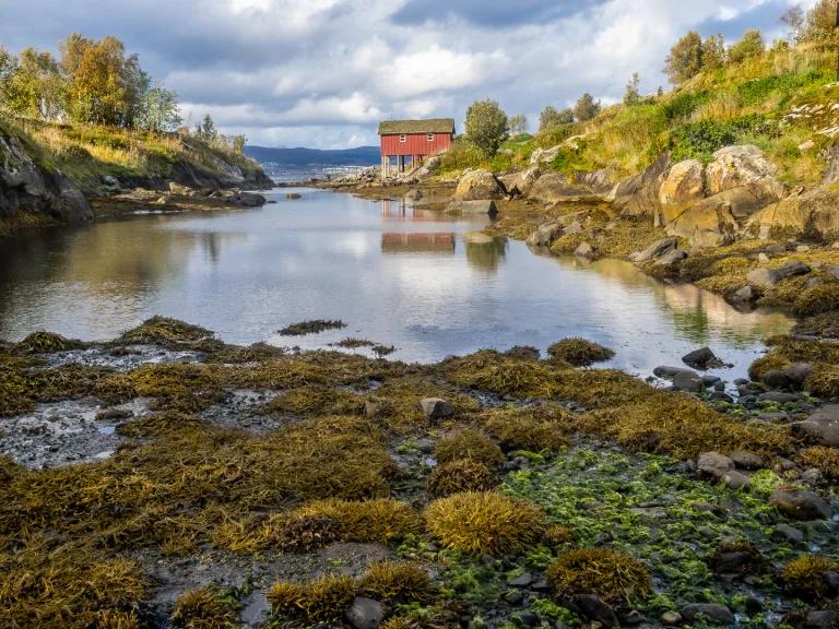 Roald Synnevaag - Krokan i Saltstraumen 2