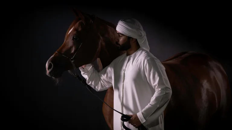 Sary Kahela - Arabian Horse Beauty 5