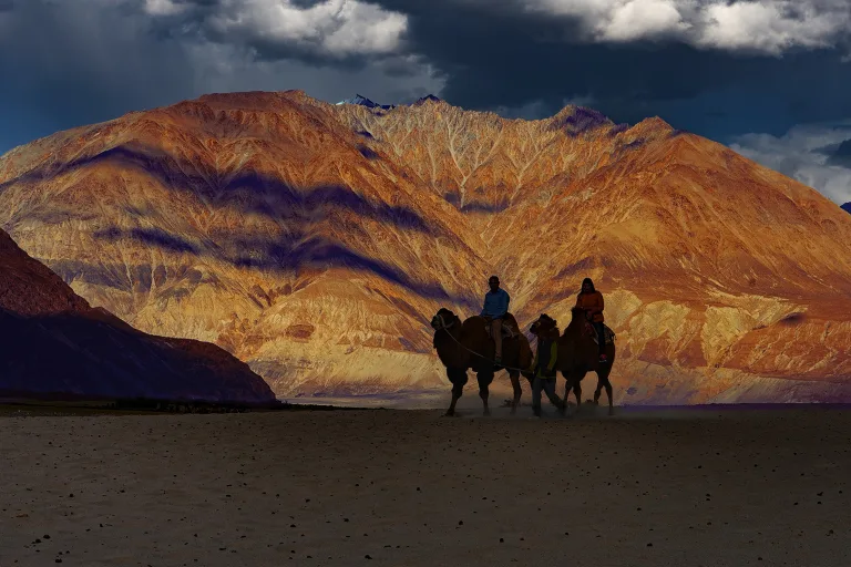 Sitanath Paul - Safari