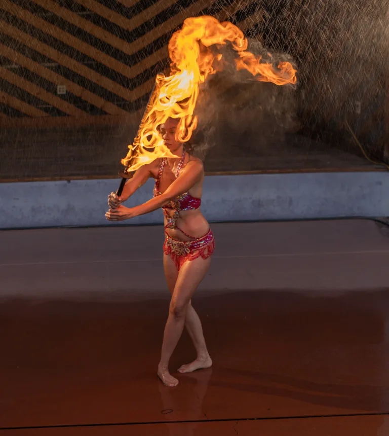 Stephen Evans - 008 sevans PSA Photofest  Tucson