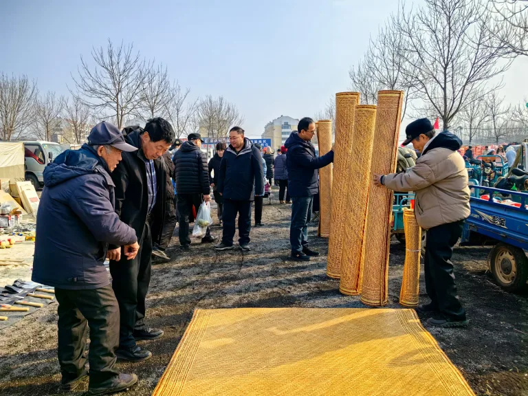 Tang Shumei - 泊里大集——非遗炕席Poli Market Kang Mat 2