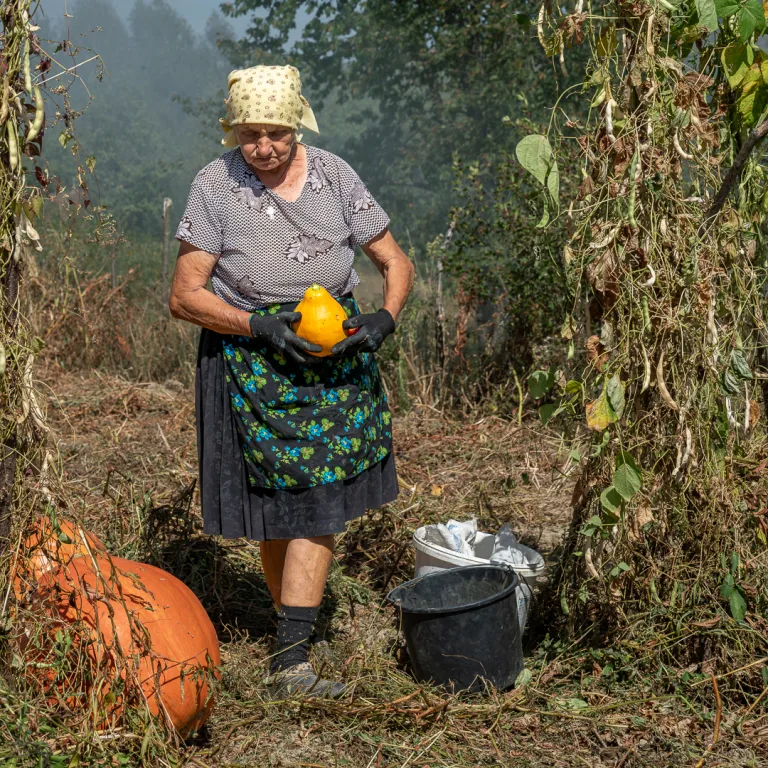 Tony Davies - 06 A Gourd in Hand
