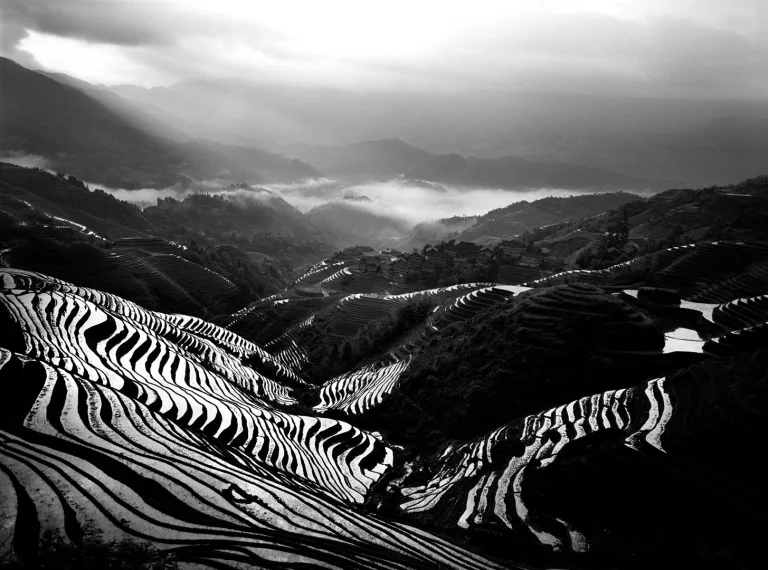 Wang Wenwei - 11.朝晖放彩暖瑶山2 Morning glow on Yao Mountain 2 