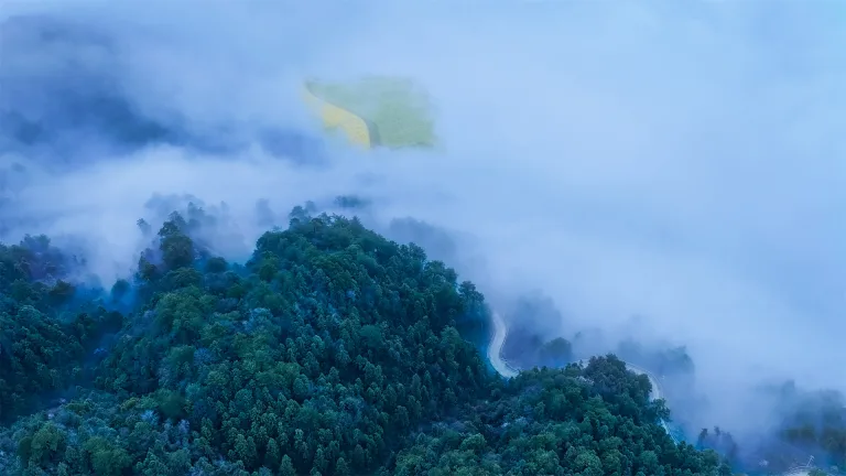 Xiang Bangjin - 1. 大自然的调色板The Palette of Nature 5