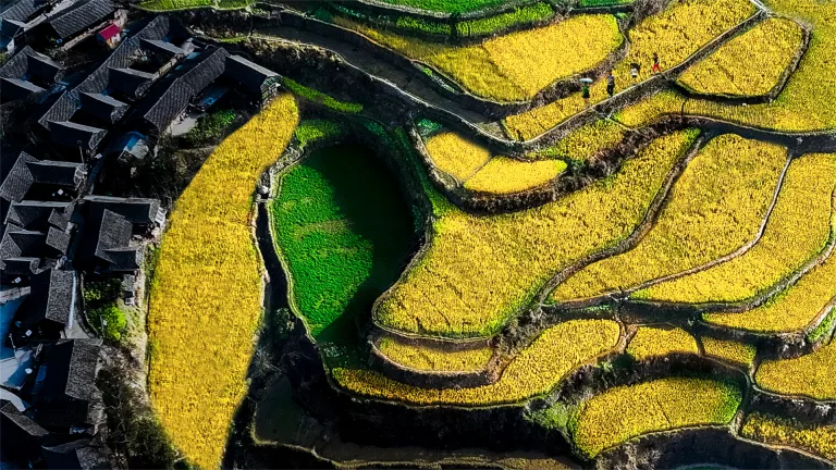 Xiang Bangjin - 9. 大自然的调色板The Palette of Nature 7