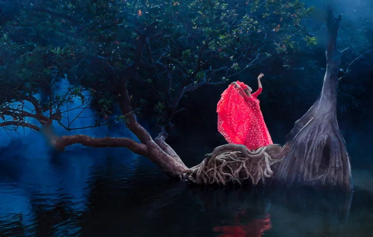 Xu Ping - 9红孔雀之舞 Dance of the Red Peacock许平摄