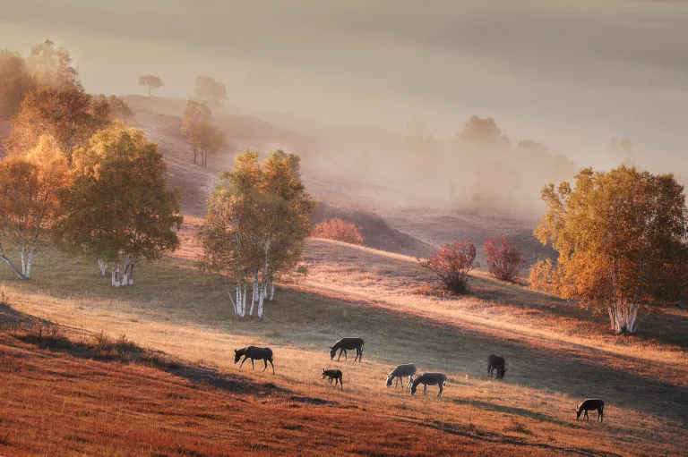 Xu Yaoqian - 原野牧歌 Pastoral on the wilderness
