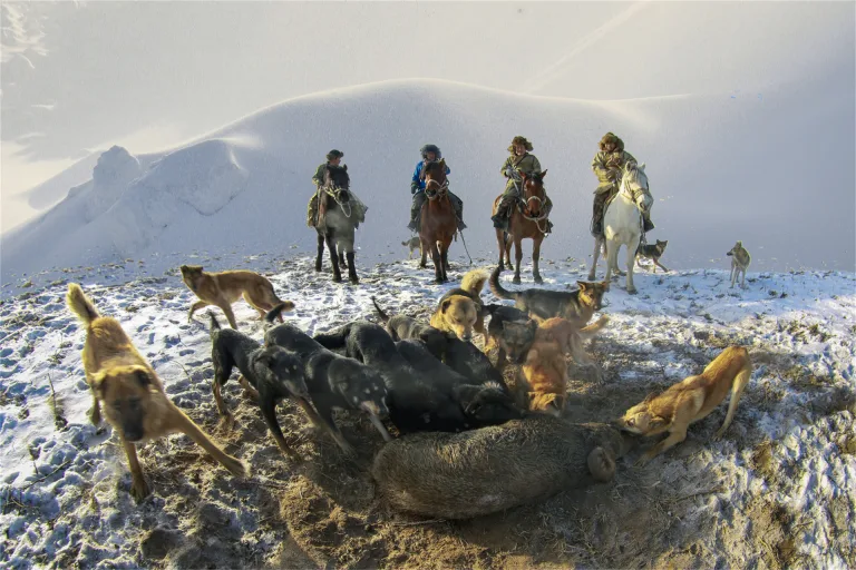 Yang Yongsheng - 4. 收获Harvest