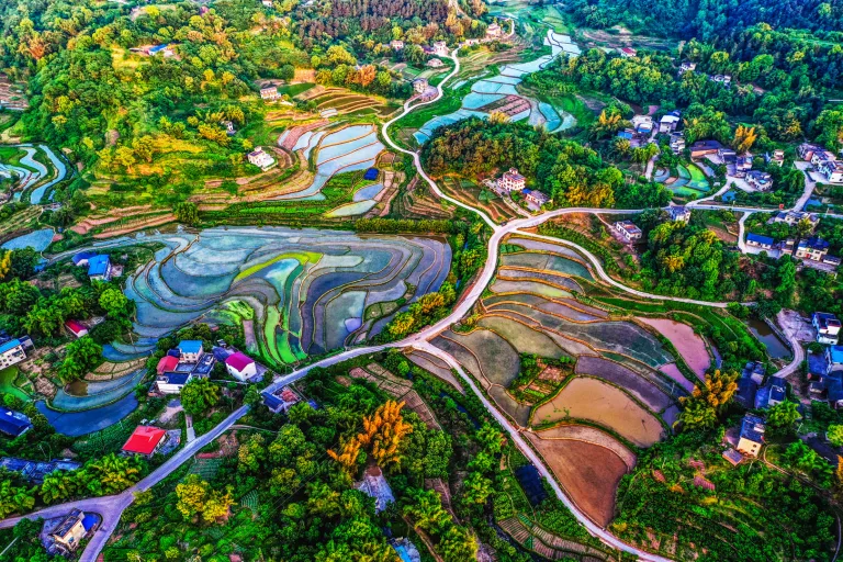 Zhang Rucui - 如画乡村Picturesque Countryside