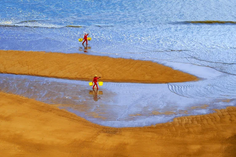 Zhou Huiren - 讨海 Beach combing