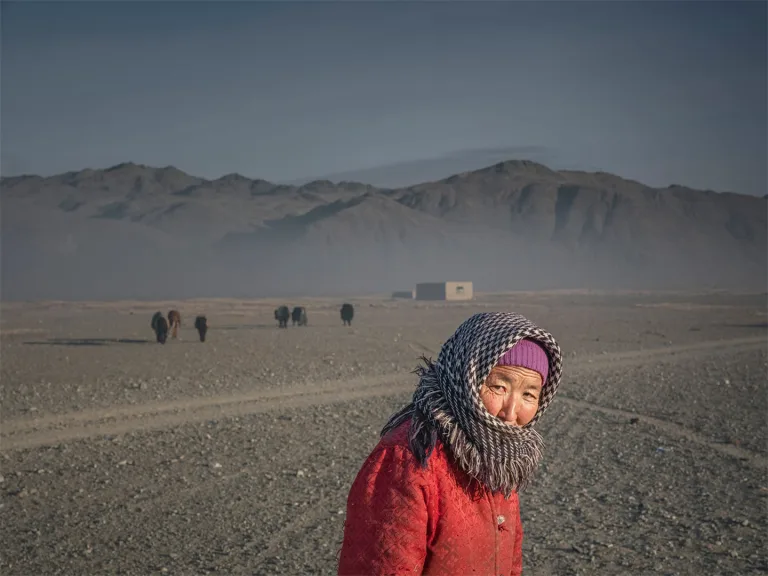 Zhu Bing - DSF1603 1