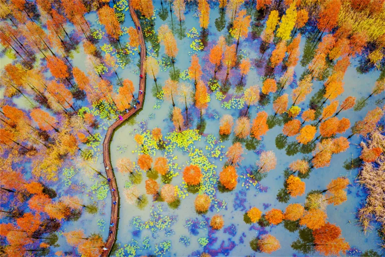 Zhu Wujiang - 1. 冬日池衫湖 Chishan Lake in Winter