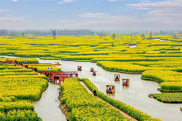 Zhu Wujiang - 4. 春意盎然 Spring in the Air