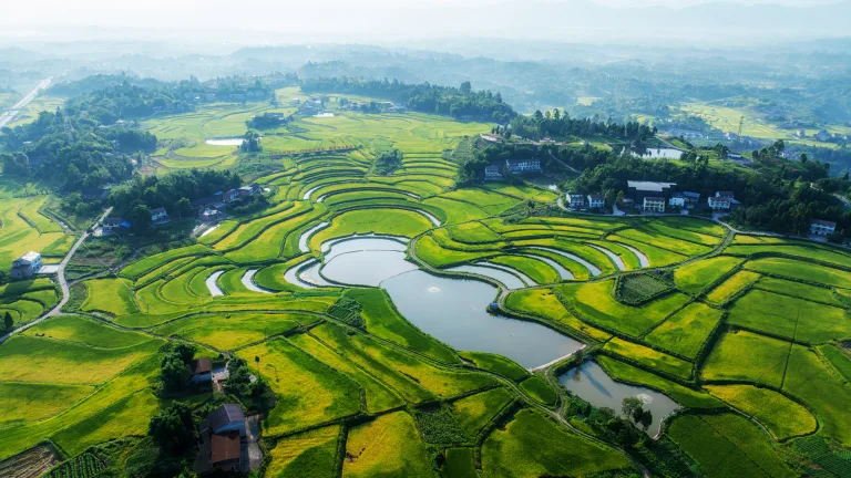 Zhu Zhaofu - 田野美如画 Pictursque countryside