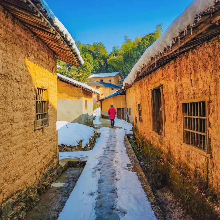 Zou Shuigen - 雪径寻梦Path Covered in Snow