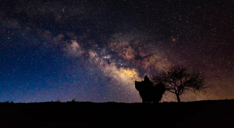 Mitra Suman - Milky Way