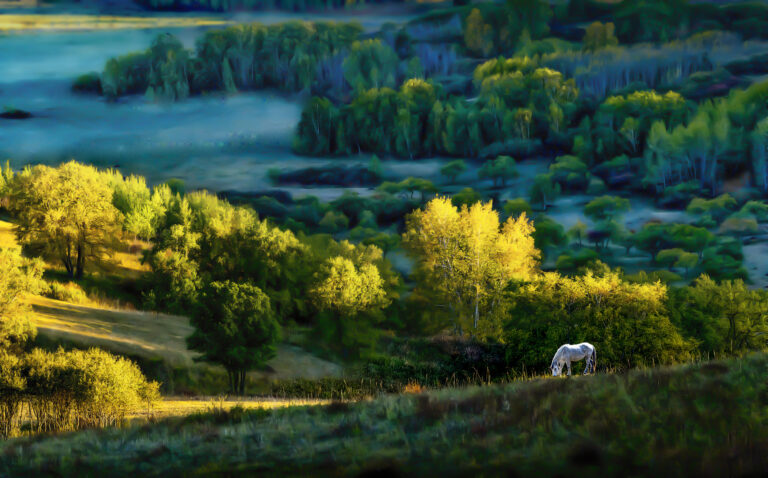 Liu-Zhiping - Pastoral-Life