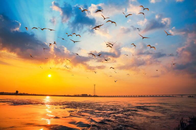 Shi-Changguo - 1.-Birds-over-Han-River