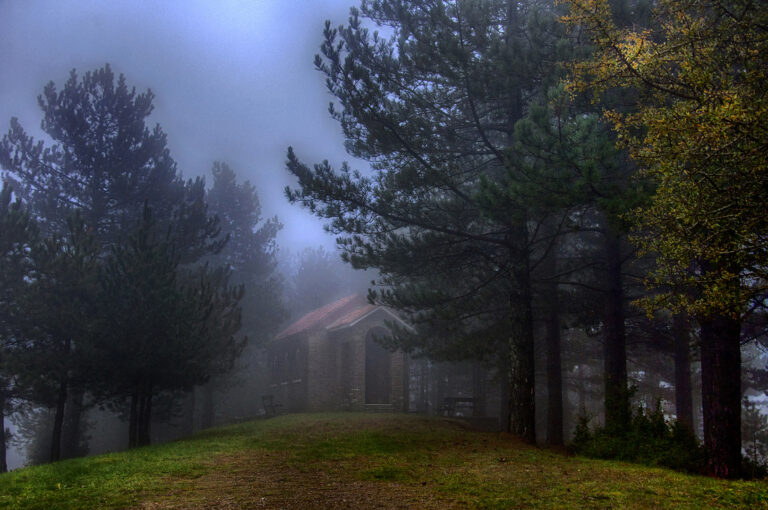 pavlina-avgoustinaki - Misty